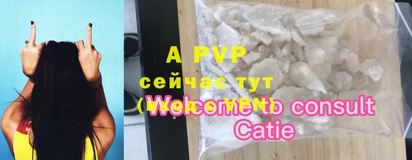 стаф Баксан