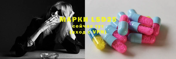 стаф Баксан