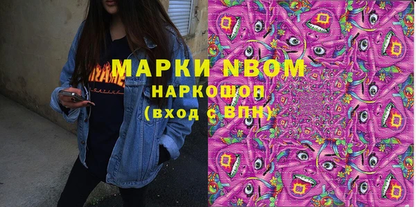 шишки Белокуриха