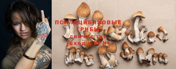 соль ск Балабаново