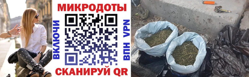 закладки  Омск  Псилоцибиновые грибы ЛСД 