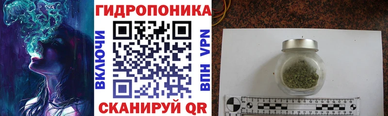 Каннабис план наркотики Омск